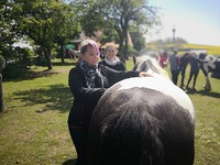 Tým PhysioDOG na prvním veterinárním kurzu Animal Fascial Manipulation